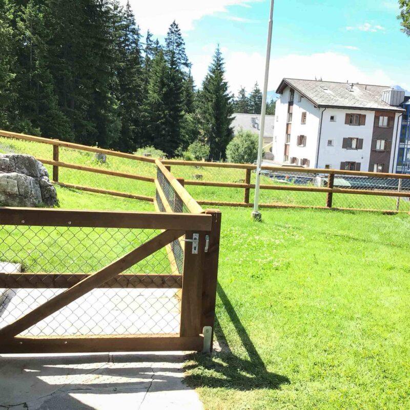 32227_Weidezauntuere-braun_Arealeingang_Tore-Holz