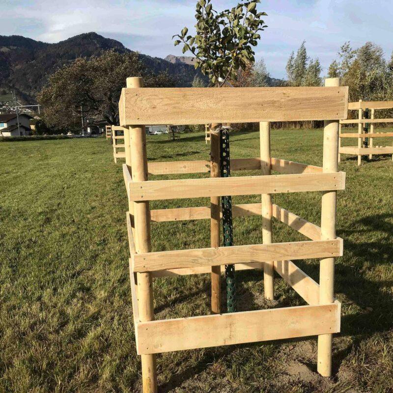 32757_Schutzzaun-fuer-Obstbaeume-Holz_Zaun_Holz-3