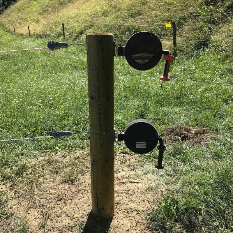 35489_Pferdezaun-stromfuehrend_Tierhaltung_Elektro-6