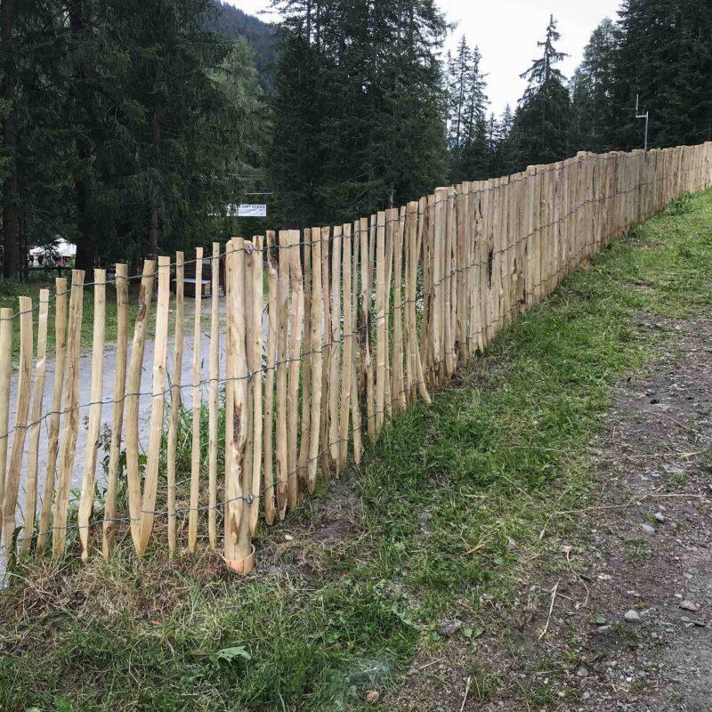35788_Naturzaun-Tannenpfosten_Zaeune_Holz-7