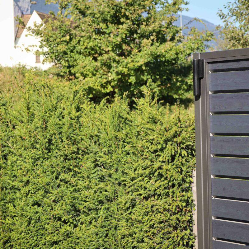 36054_Dtreu-Sichtschutz-Gartentuere-Brillant_Arealeingang_Tore_Metall-4