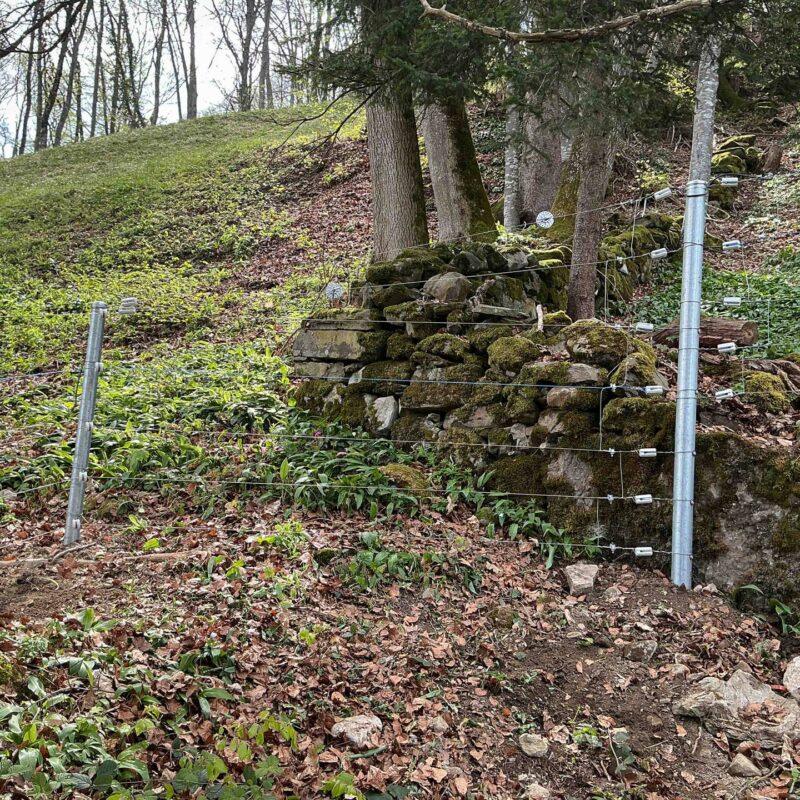 38471_Gallagherzaun_Festzaun-Stromfuehrend_Tierhaltung_Elektro-15