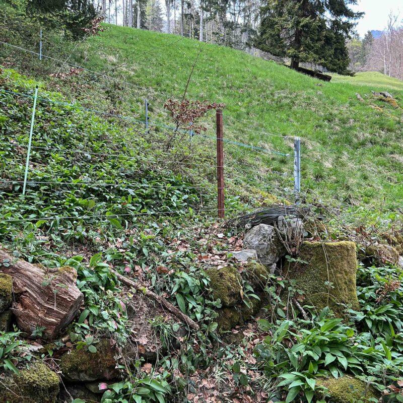 38471_Gallagherzaun_Festzaun-Stromfuehrend_Tierhaltung_Elektro-16