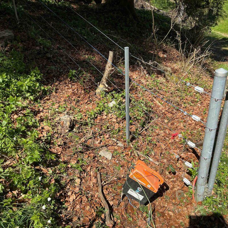 38471_Gallagherzaun_Festzaun-Stromfuehrend_Tierhaltung_Elektro-9
